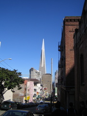 IMG 1245